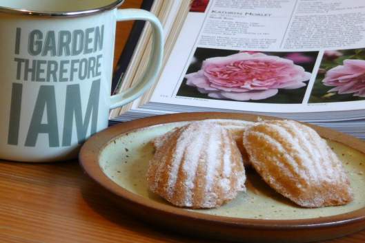Madeleines, a cup of tea, and a gardening book... what could be better?