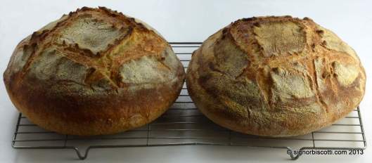 Bread made with Semola di grano duro rimacinata (l) and pudding semolina (r)